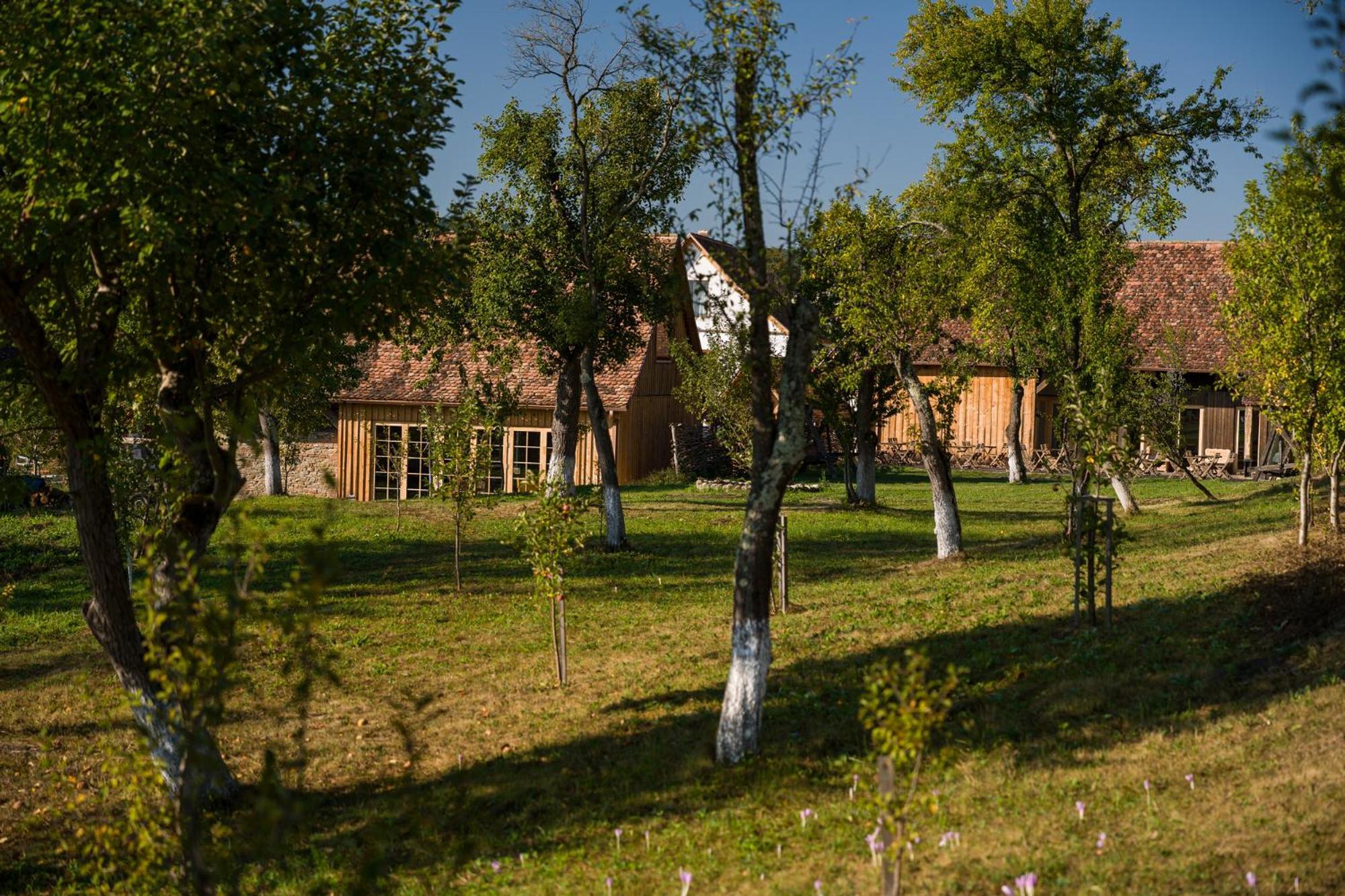 Mesendorf Gasthaus Экстерьер фото